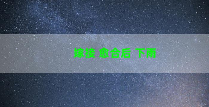 嫁接 愈合后 下雨